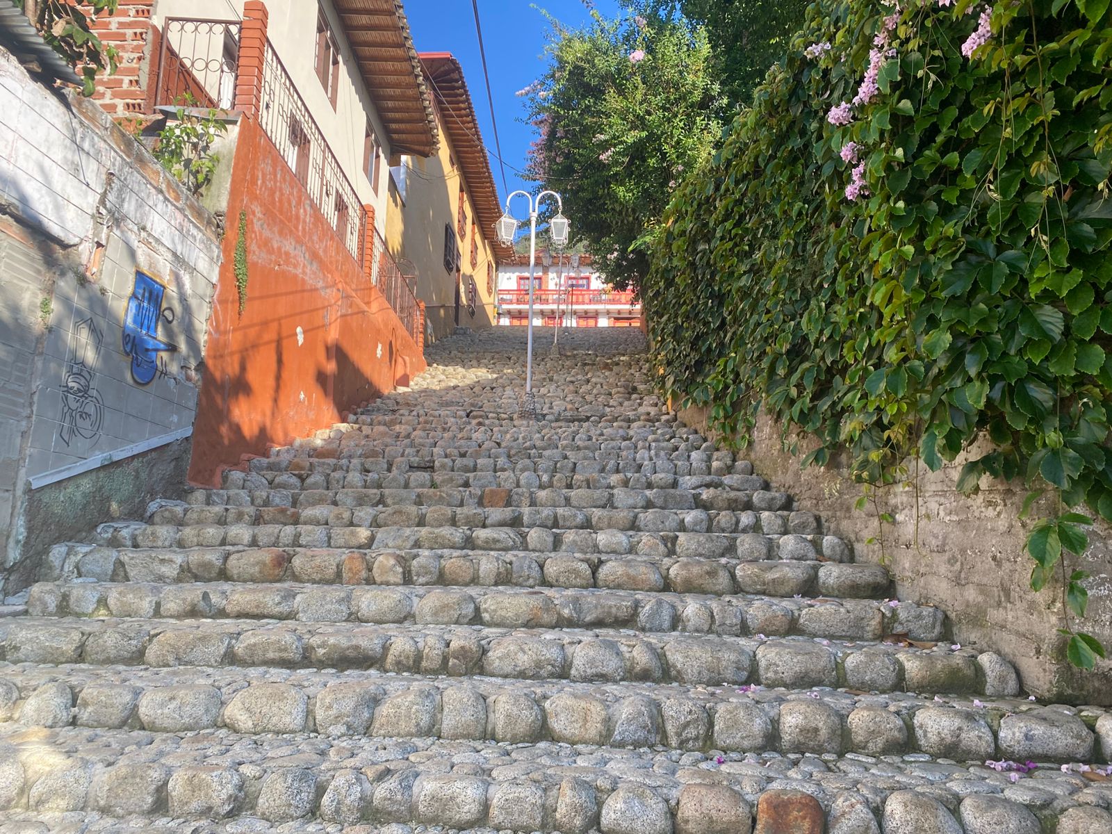 Tour Cultural Jericó - Basílica e iglesias coloniales